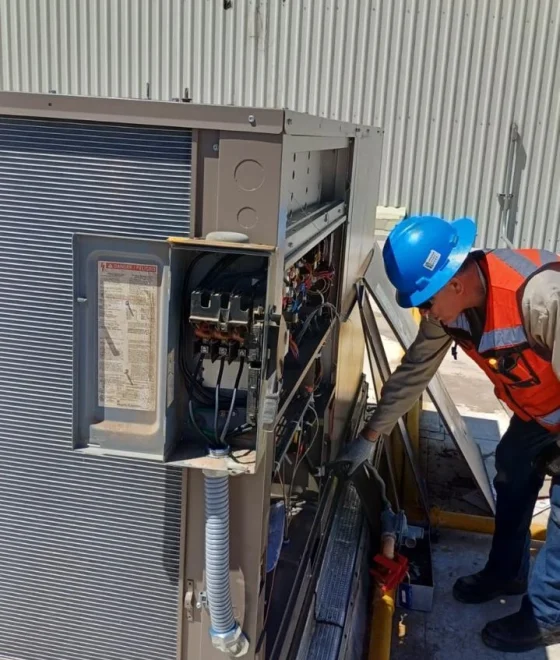 WhatsApp Image 2026-01-21 at 6.13.06 PM (3)